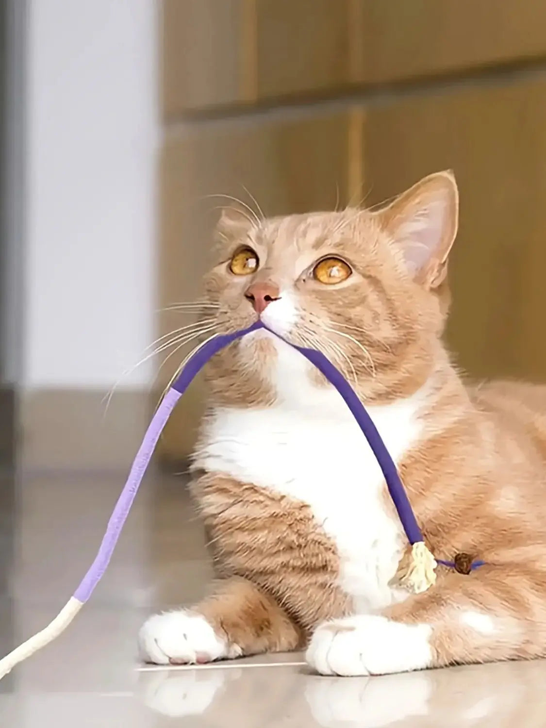 Durable Cat Rope Toy For Teeth Grinding